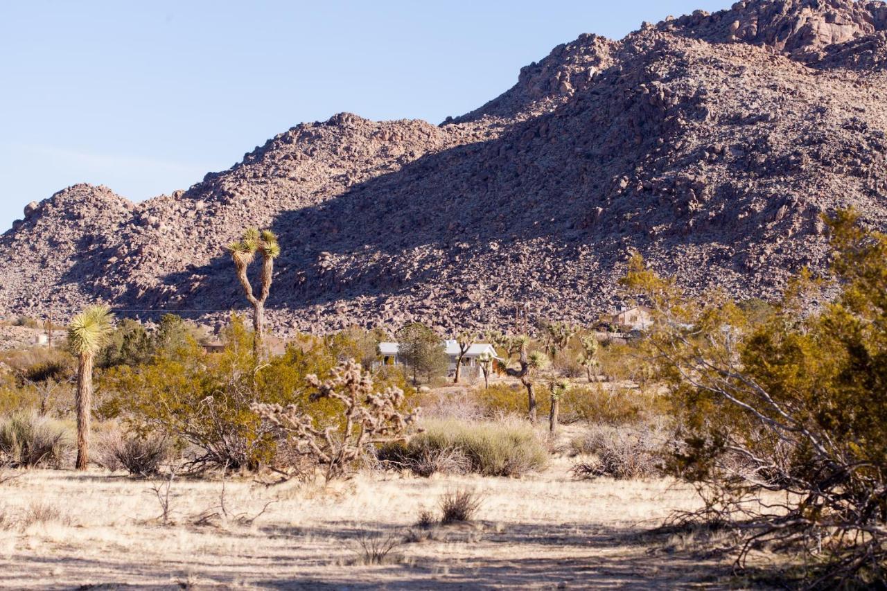 @ Marbella Lane - 10 Acres Oasis Desert Retreat! Joshua Tree Exteriér fotografie